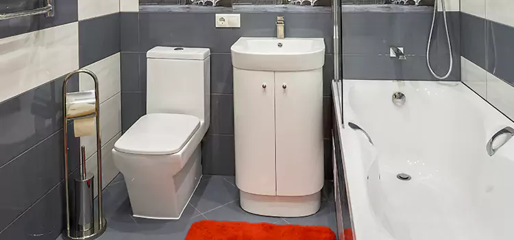 Hansgrohe Shaving Mirror Garfield